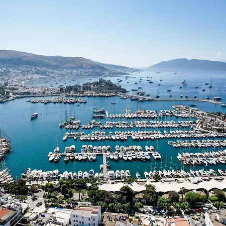 Swan Boutique Szálloda